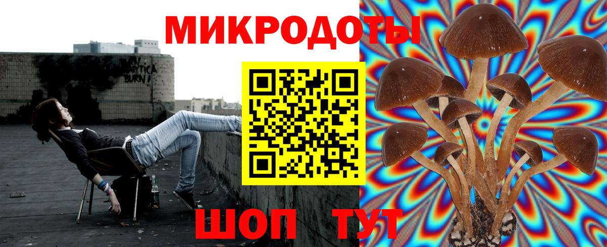 Гатчина  Псилоцибиновые грибы ЛСД  Вход с VPN 
