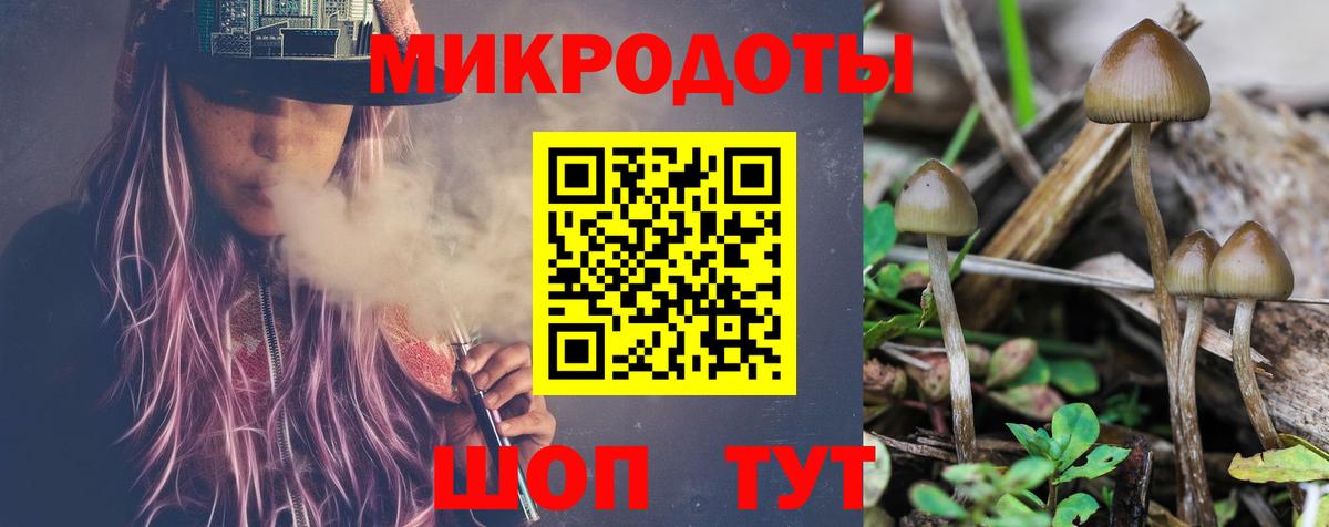 Галлюциногенные грибы мицелий Гатчина